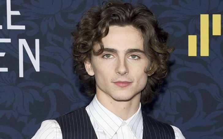 Timothée Chalamet to Play In WB’s ‘Wonka’ Origin Story